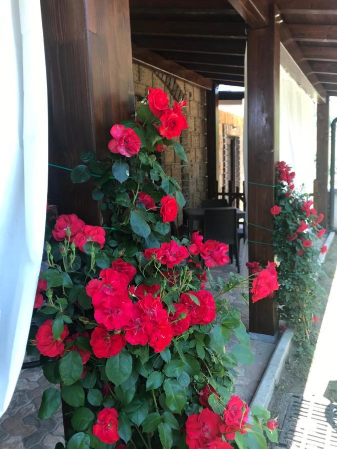 Agriturismo A Casa Di Susanna Santo Stefano del Sole Εξωτερικό φωτογραφία