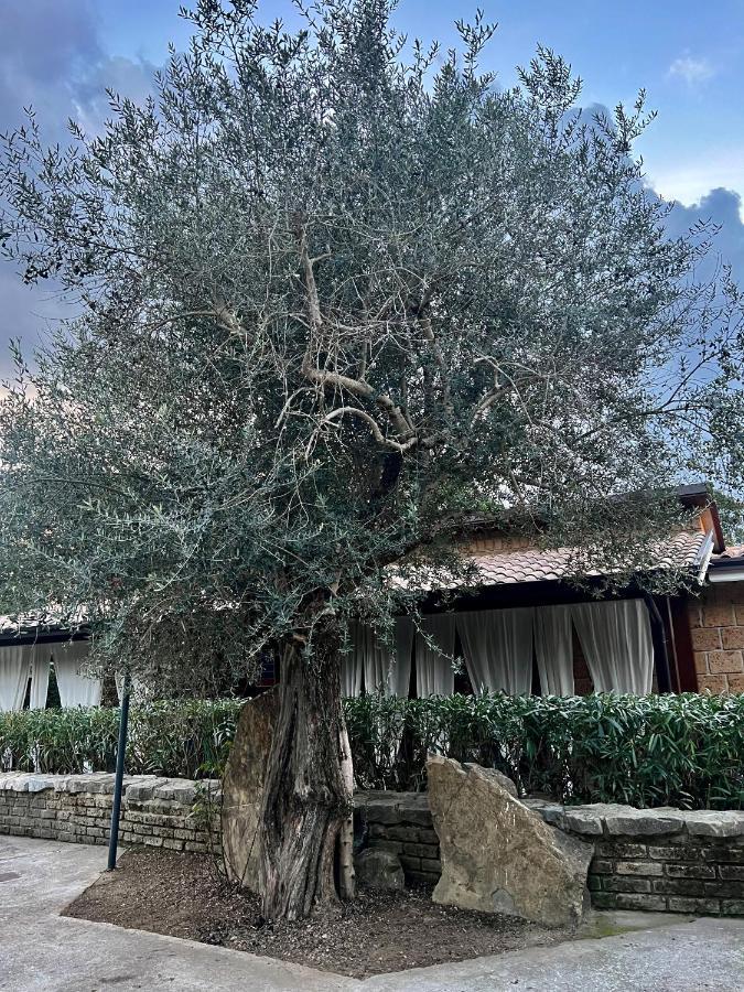 Agriturismo A Casa Di Susanna Santo Stefano del Sole Εξωτερικό φωτογραφία